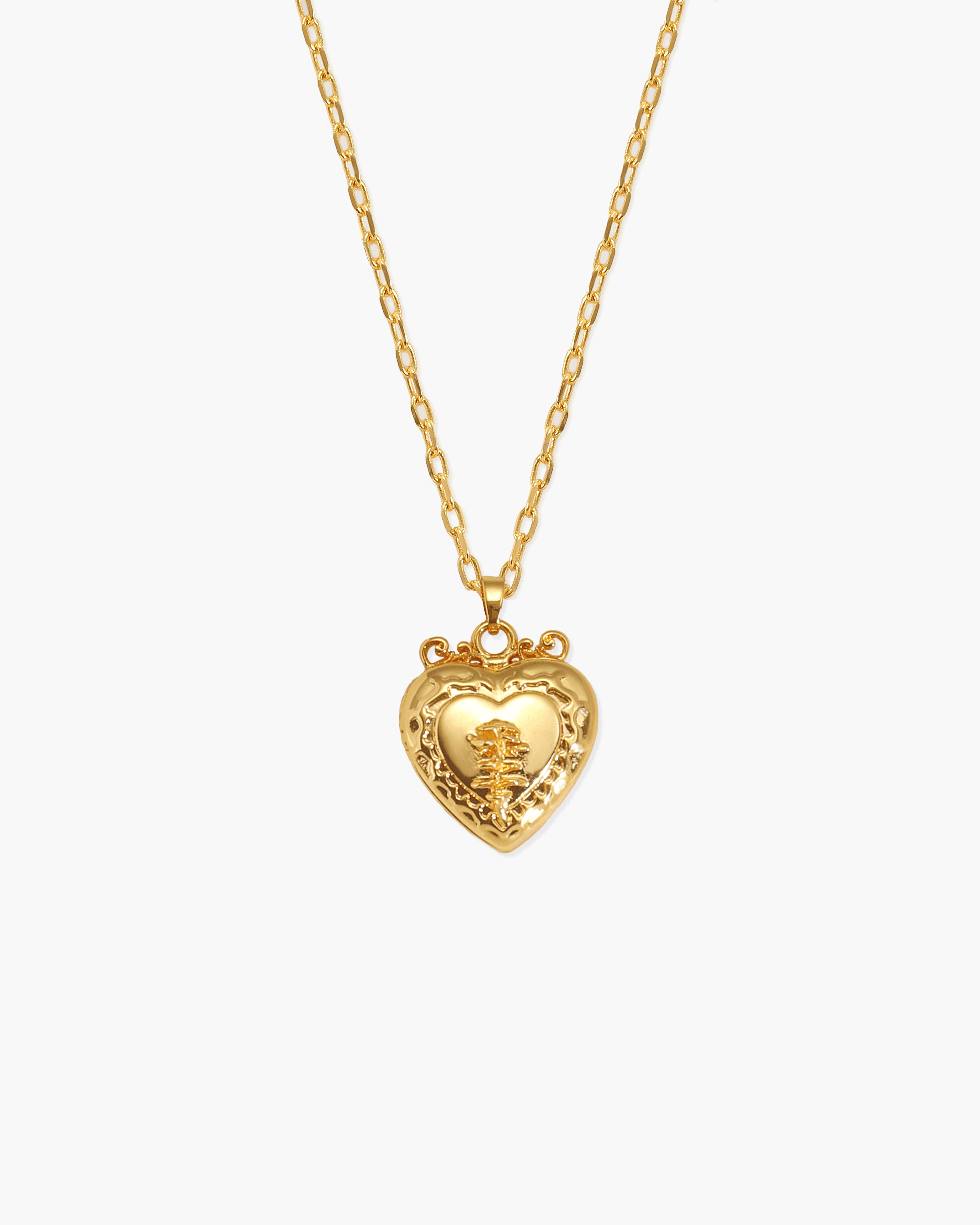 Isabela Heart Locket Necklace in Silver-Tone & Gold-Tone