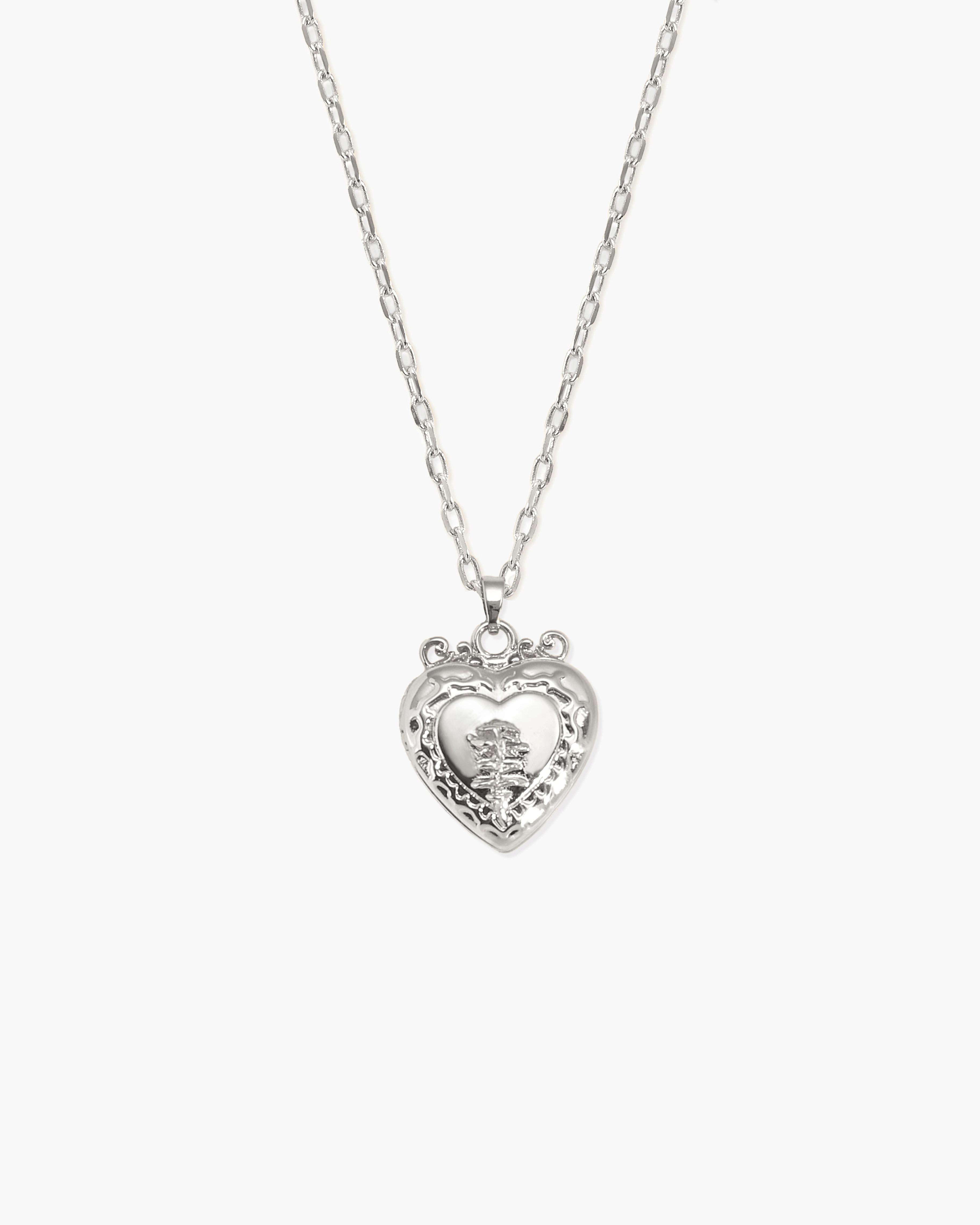 Isabela Heart Locket Necklace in Silver-Tone & Gold-Tone